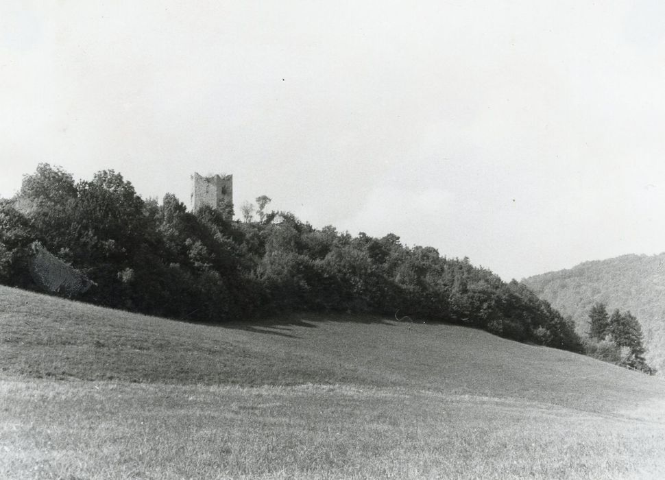 vue générale du château dans son environnement