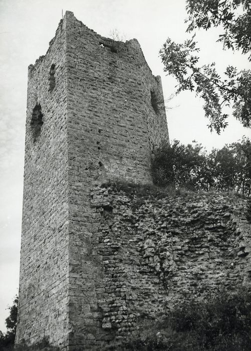 élévations sud et ouest du donjon