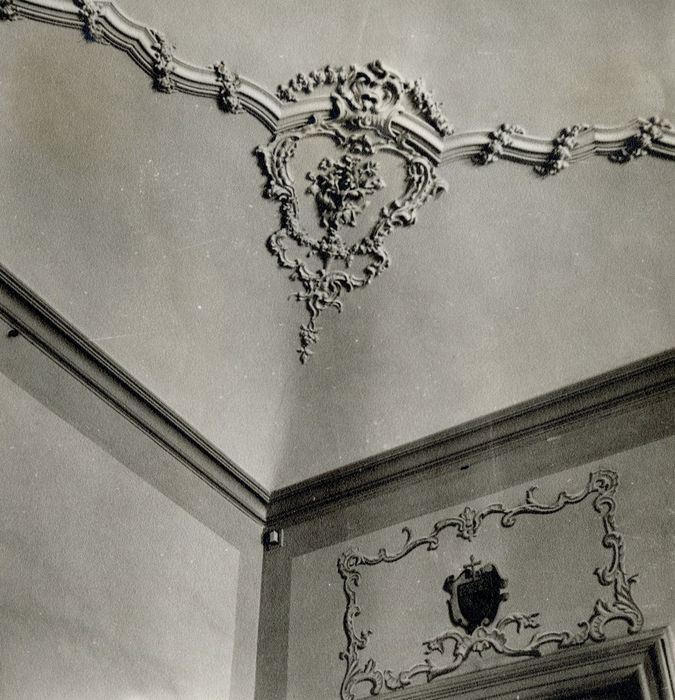 salle à manger, détail du plafond