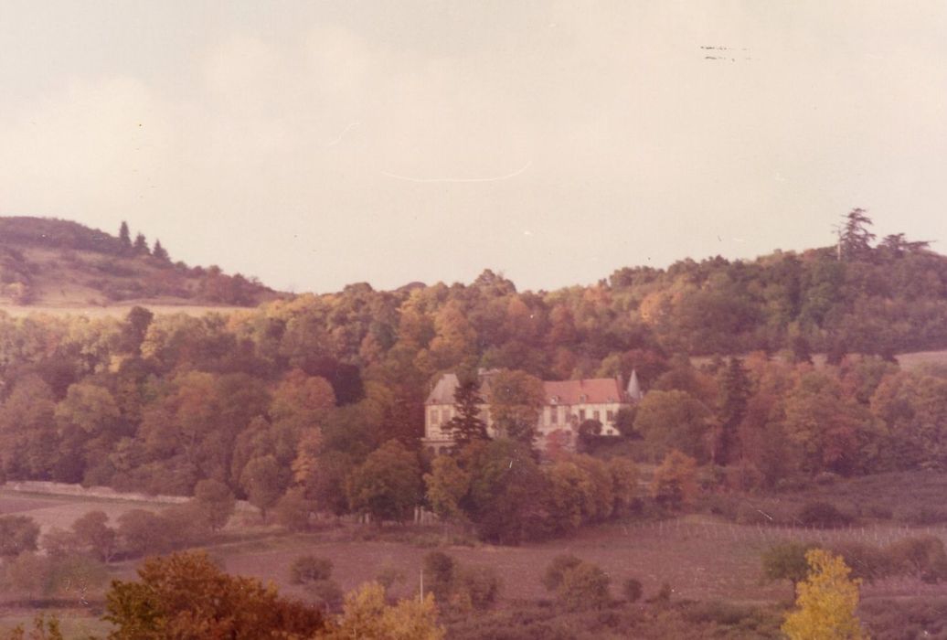 vue partielle du château dans son environnement depuis le Sud-Est