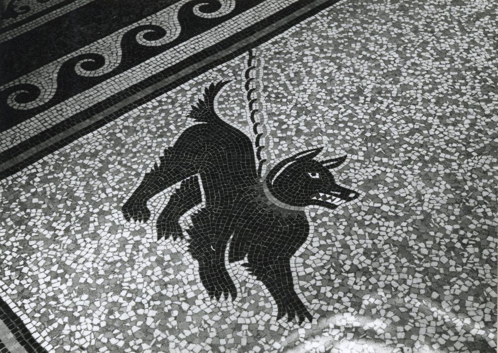 vestibule d’entrée, détail du pavement
