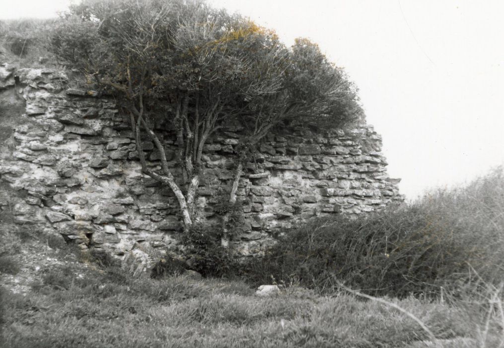 bastion nord-est, vue partielle des vestiges