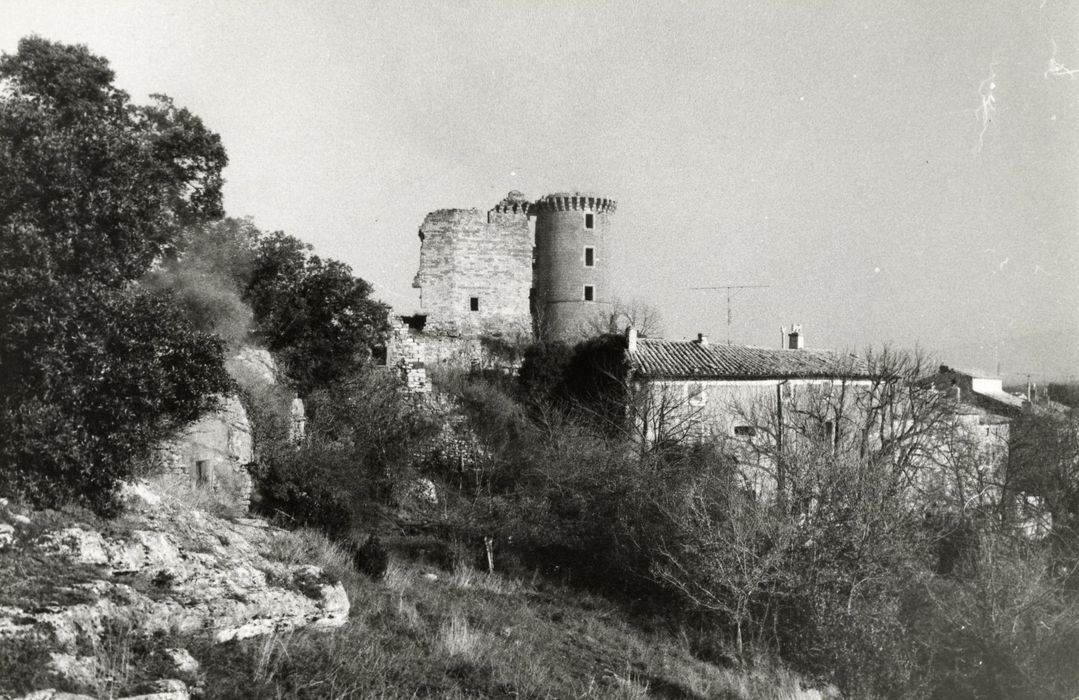 vue partielle des ruines depuis le Sud