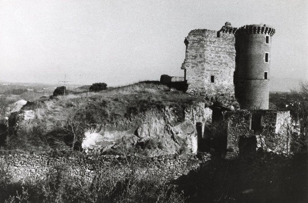 vue générale des ruines dans leur environnement depuis l’Ouest