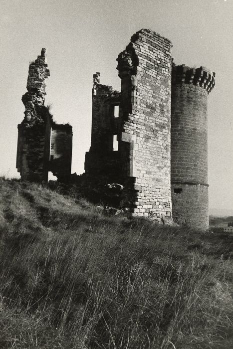 vue générale des ruines depuis le Sud-Ouest