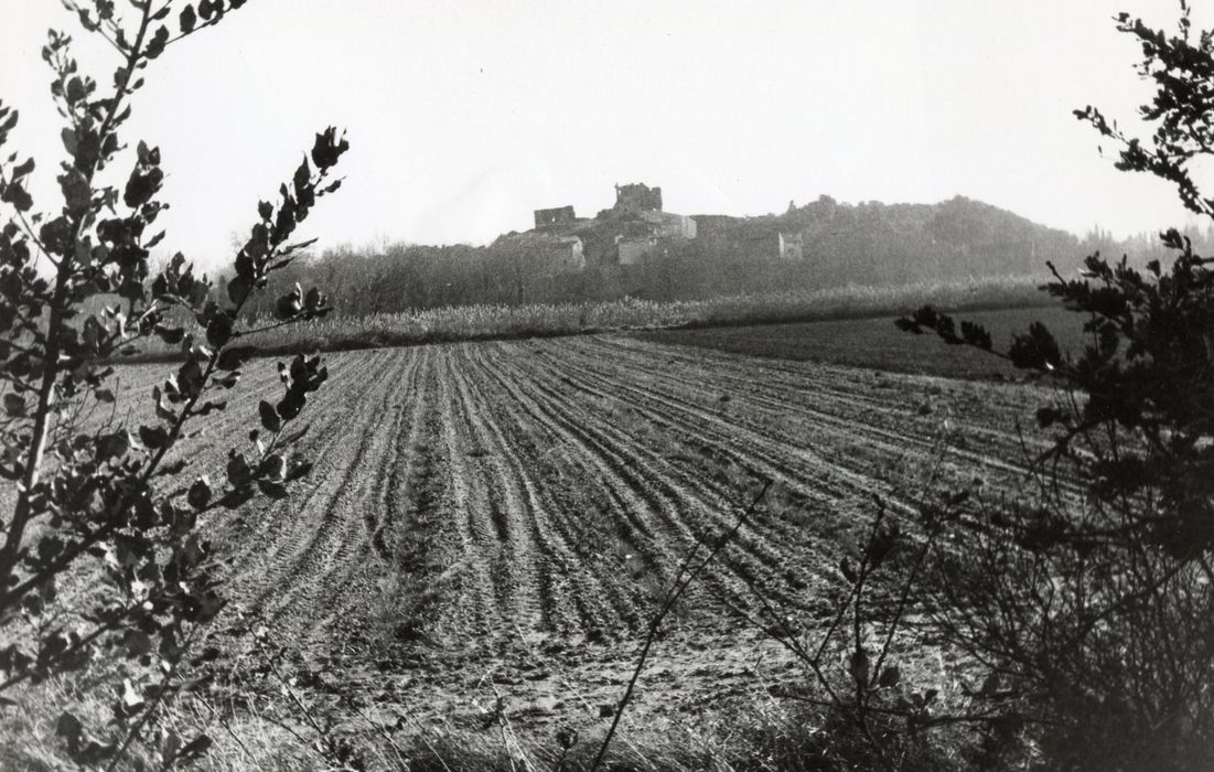 vue générale du château dans son environnement depuis l’Est