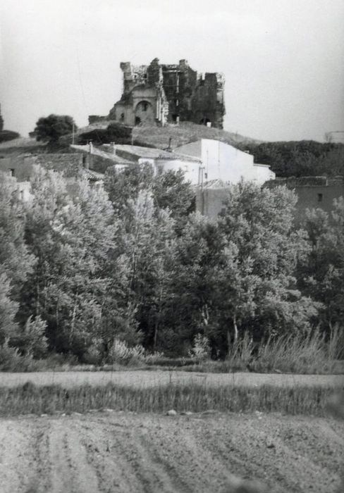 vue générale des ruines du château dans son environnement depuis le Nord