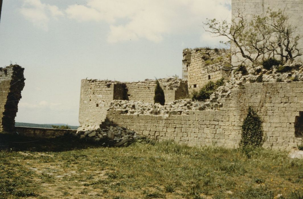 vue partielle des ruines