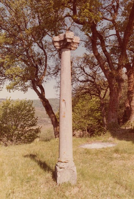 jardin, détail d’une colonne