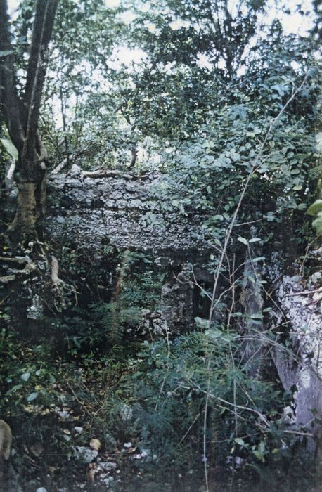 vue partielle des ruines (photocopie numérisée)