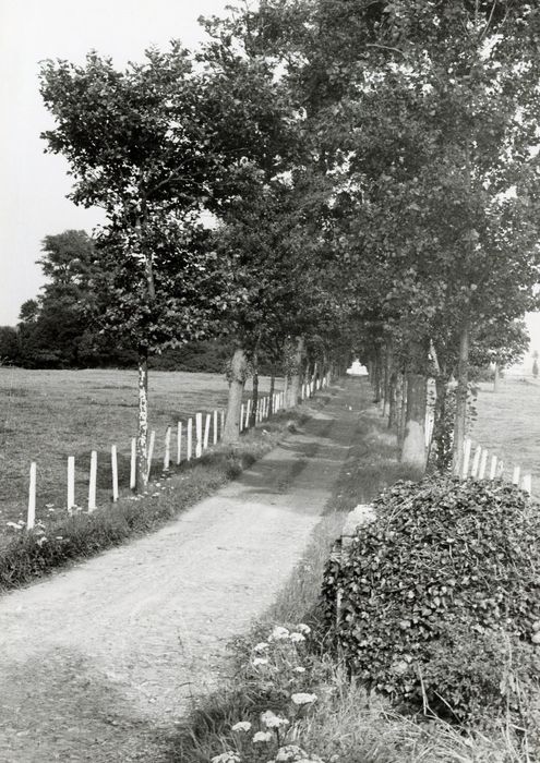 allée d’accès sud