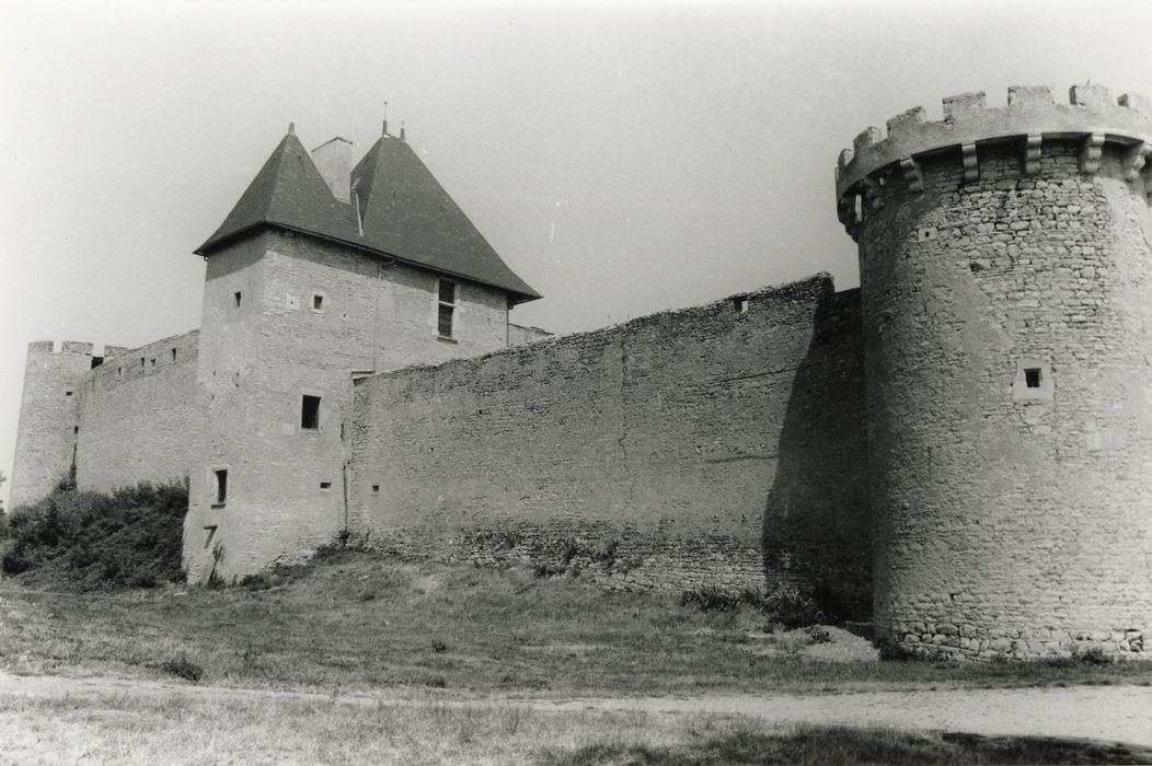 ensemble ouest, courtines et donjon