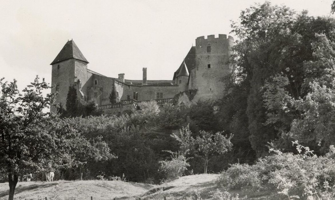 vue partielle du château dans son environnement depuis le Nord