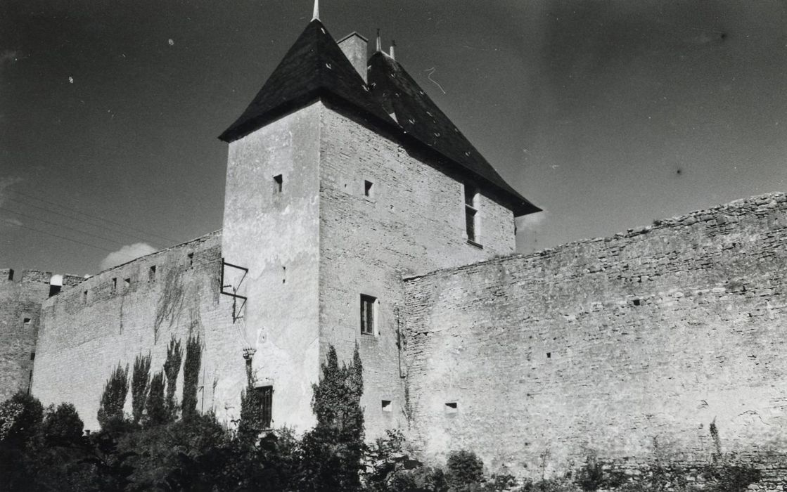 donjon rectangulaire, façades sud et ouest