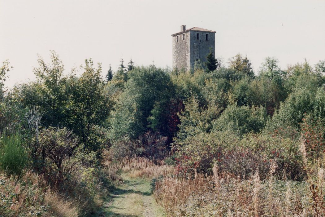 vue partielle du château dans son environnement depuis le Nord