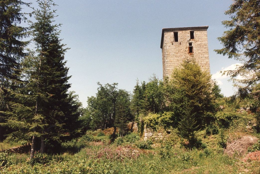 vue partielle du château dans son environnement depuis le Sud