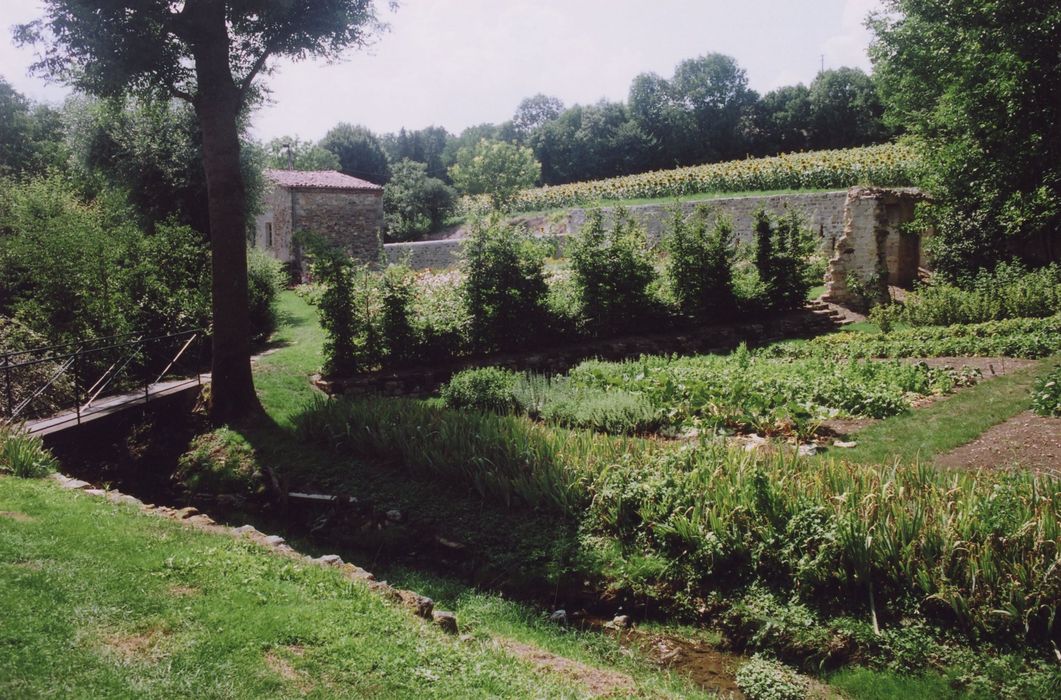 potager, vue partielle