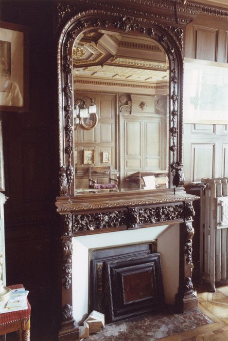 Rez-de-chaussée, grand salon, cheminée