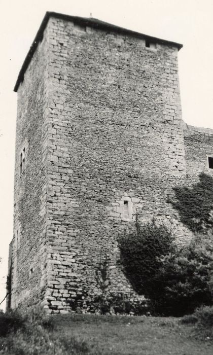 donjon, élévations sud et ouest