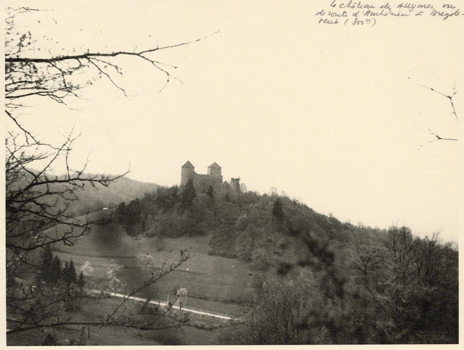 vue générale du château dans son environnement