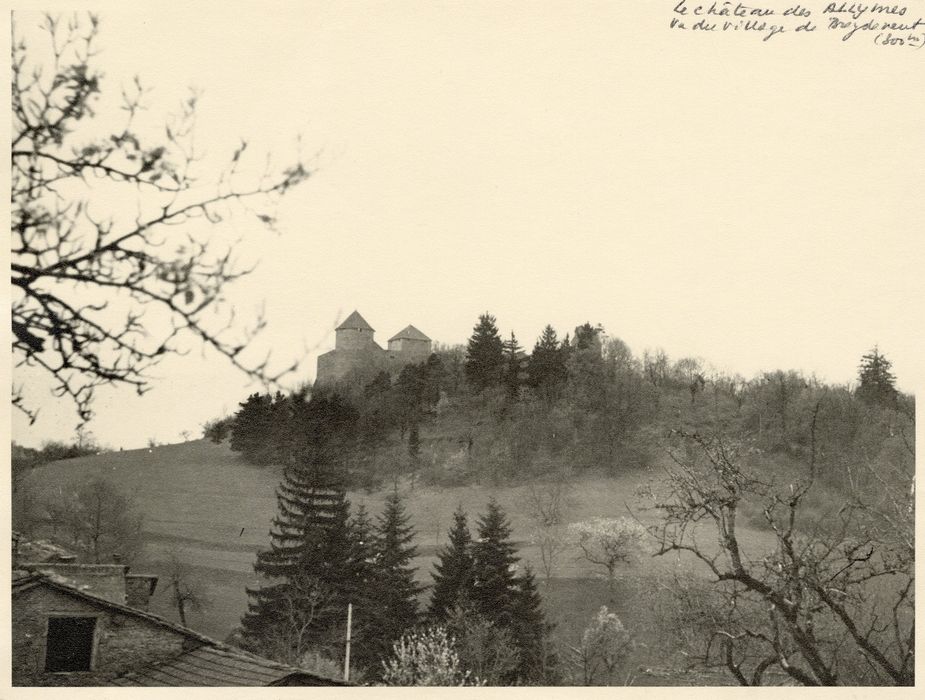 vue générale du château dans son environnement