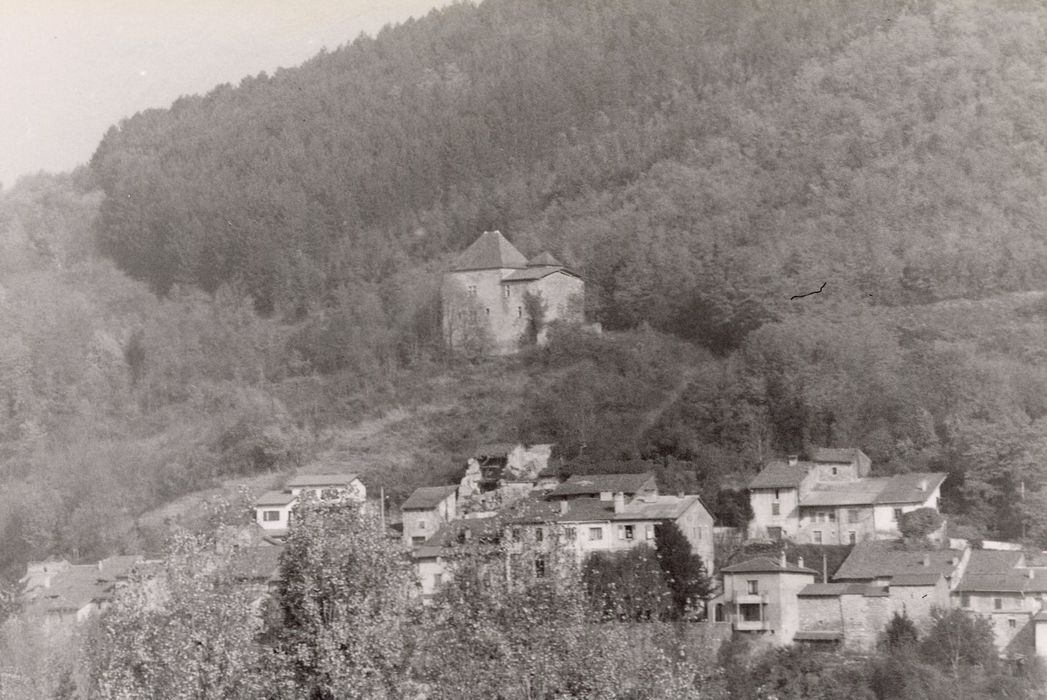 vue générale du château dans son environnement depuis le Sud-Ouest