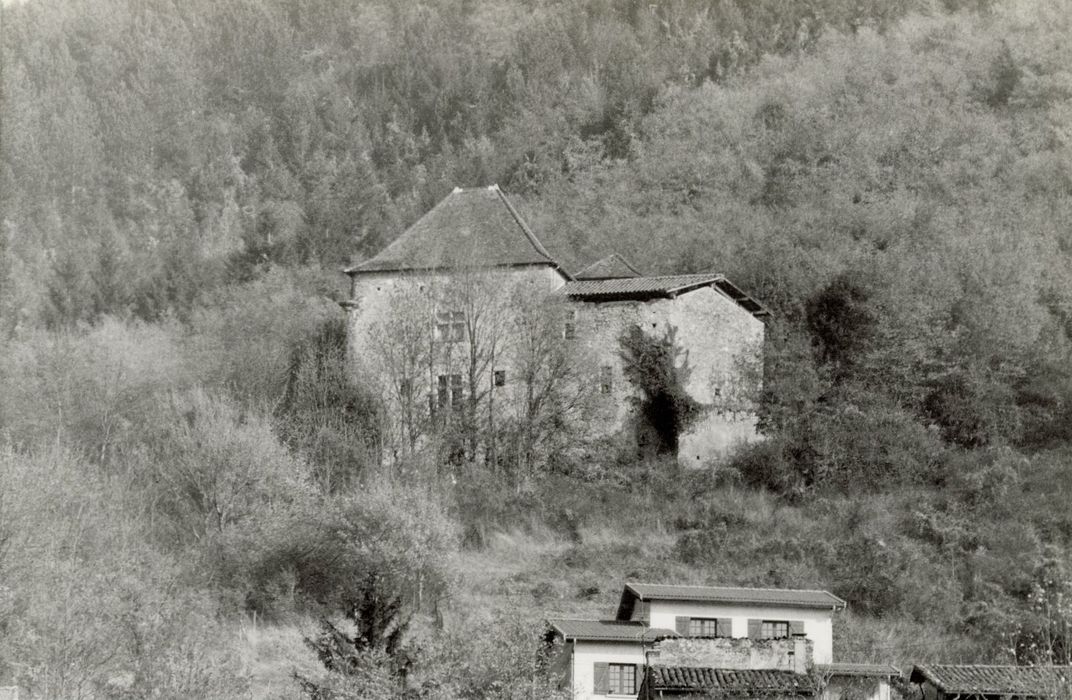 vue générale du château dans son environnement depuis le Sud-Ouest