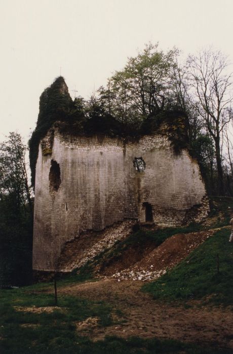 tour de la courtine sud