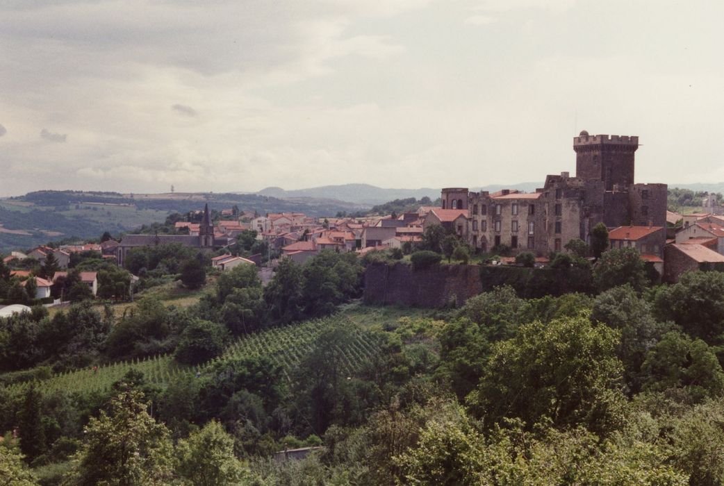 vue générale du château dans son environnement depuis le Nord-Est