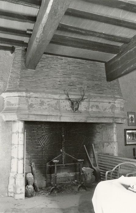 salle à manger, cheminée monumentale