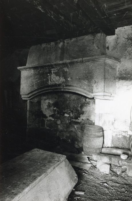 chambre, cheminée monumentale