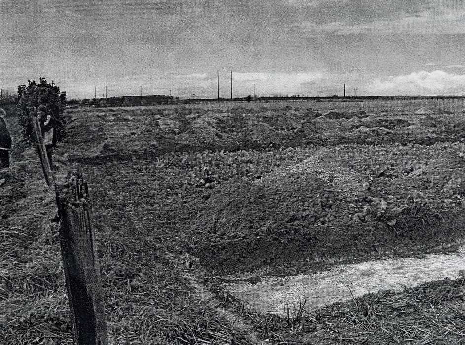 vue partielle du site (photocopie numérisée)