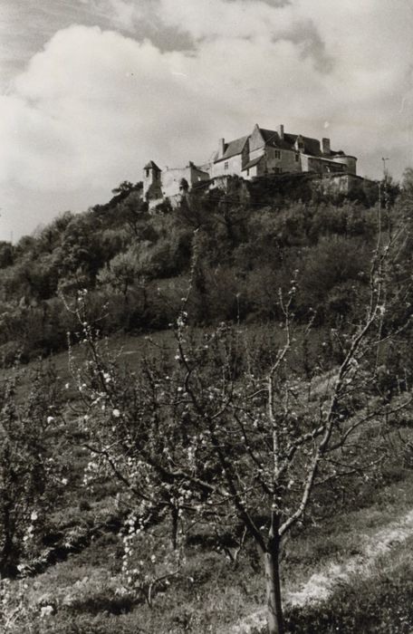 vue générale du château dans son environnement