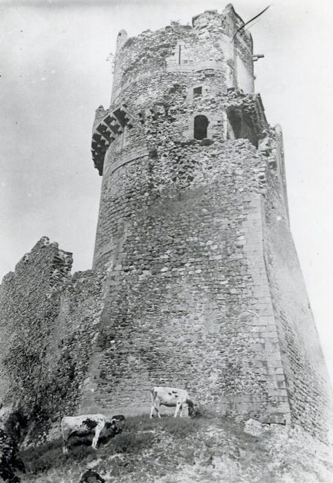 donjon, élévation nord