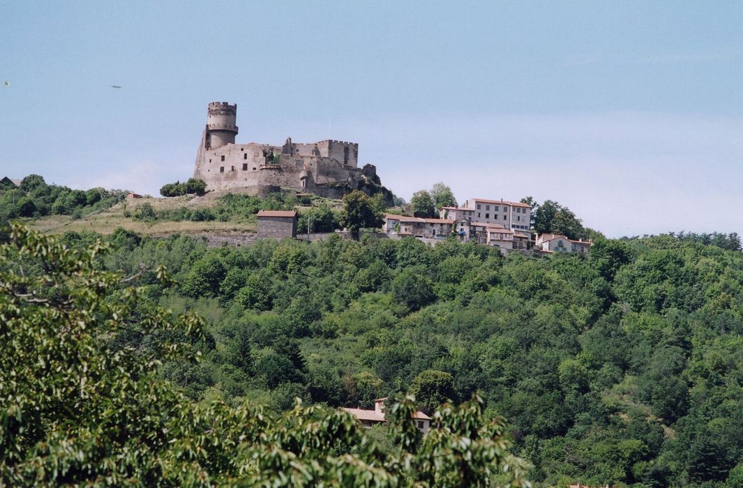 vue générale du château dans son environnement depuis le Sud-Est