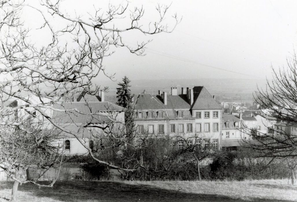 vue partielle du château dans son environnement depuis le Sud-Ouest