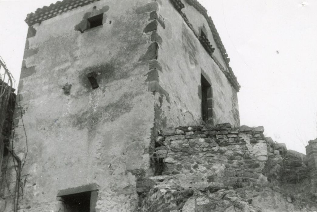 vue partielle des vestiges : tour-pigeonnier