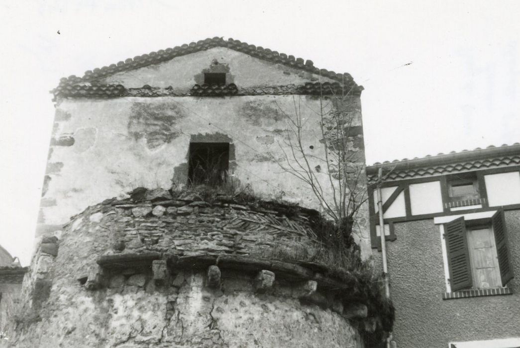 vue partielle des vestiges : tour-pigeonnier et chevet