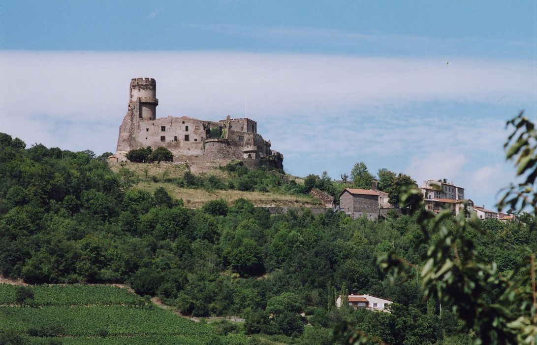 vue générale du château dans son environnement depuis le Sud-Est