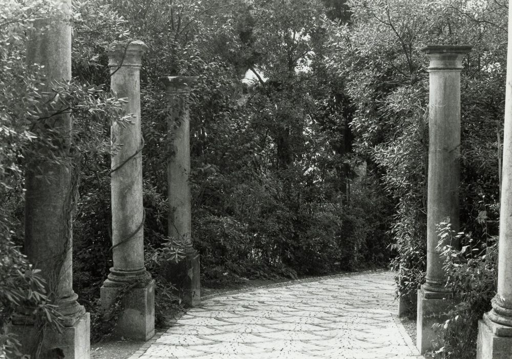 jardin, allée d’accès est