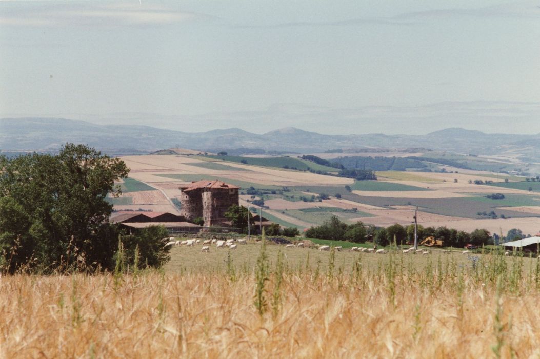 vue générale de la maison-forte dans son environnement depuis l’Est