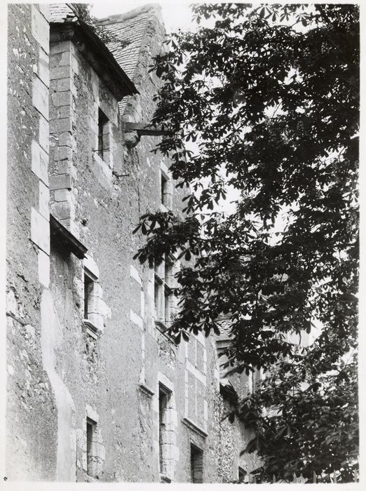 façade antérieure, vue partielle