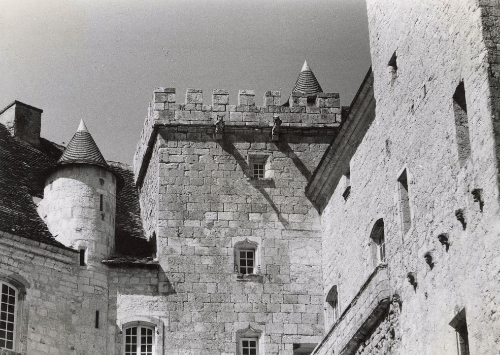 Cour d’honneur, donjon, élévation est, vue partielle