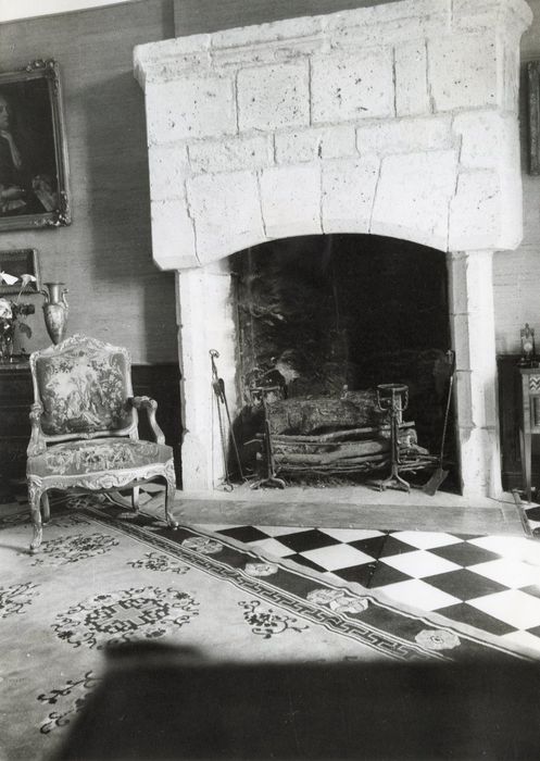 Grand salon, cheminée monumentale