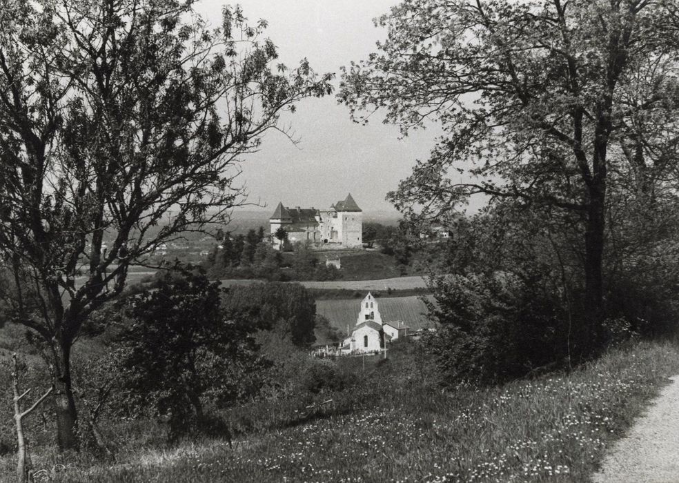 Vue générale du château dans son environnement depuis l’Est