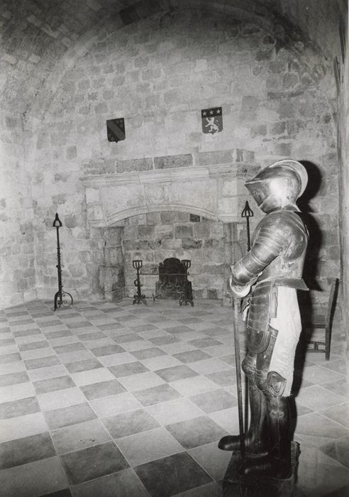 Salle des gardes, cheminée monumentale