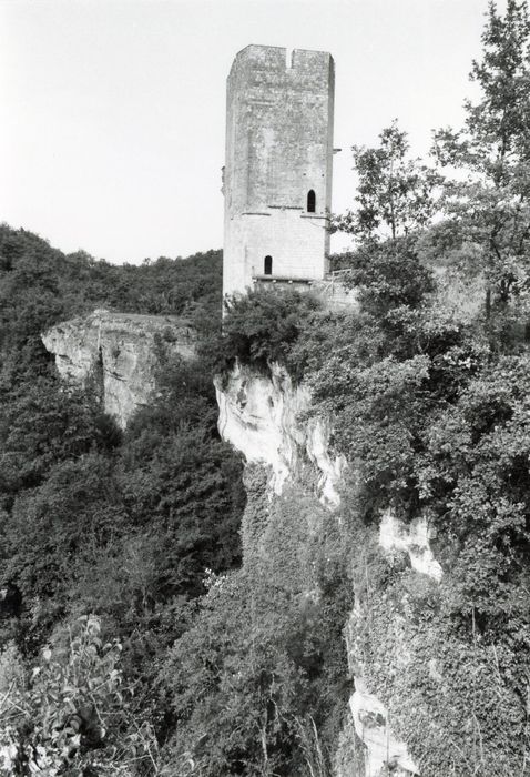 vue partielle du site depuis le Sud-Ouest