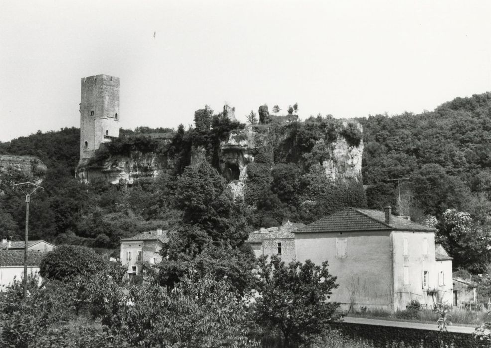 vue générale du château dans son environnement depuis l’Ouest