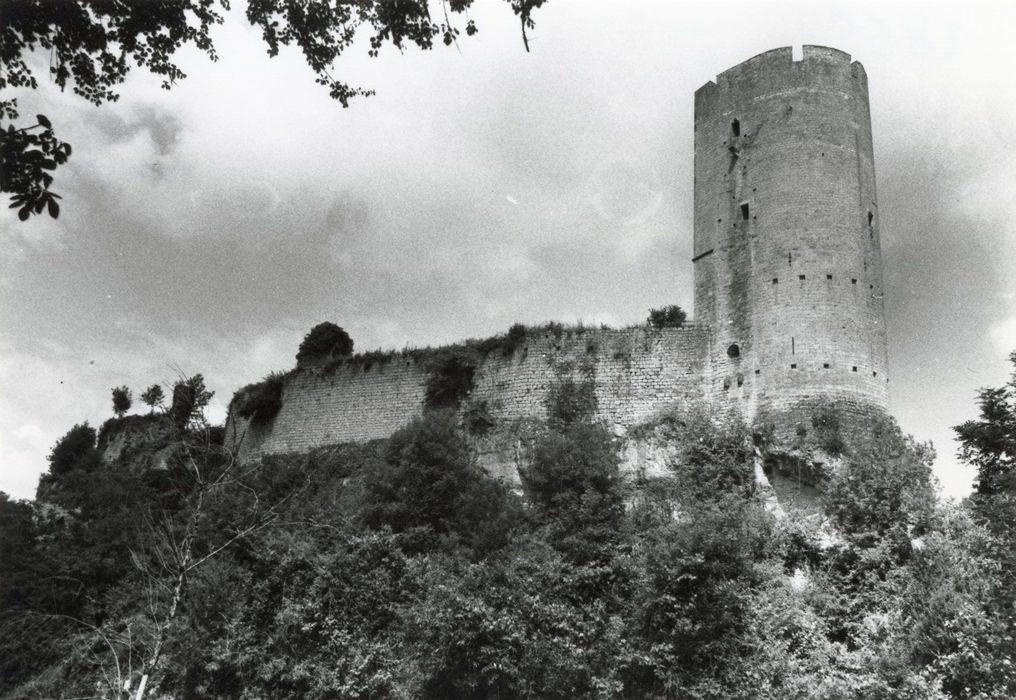 vue générale du château dans son environnement depuis l’Est