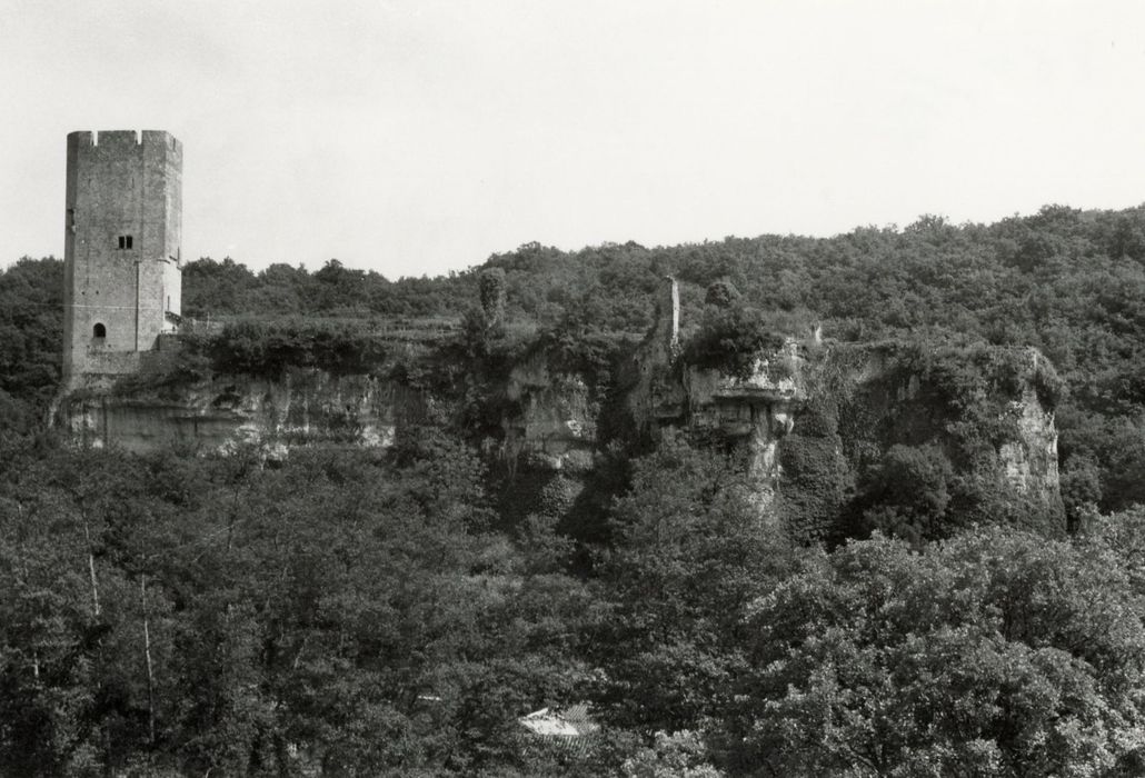 vue générale du château dans son environnement depuis l’Ouest